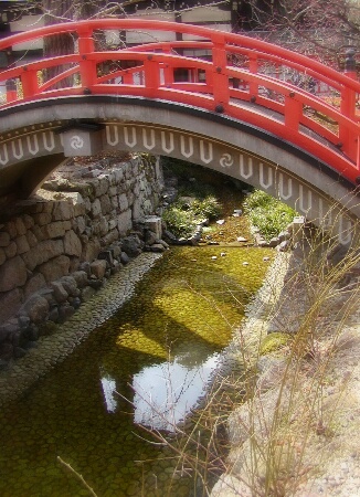 533b.mocchi.jpg