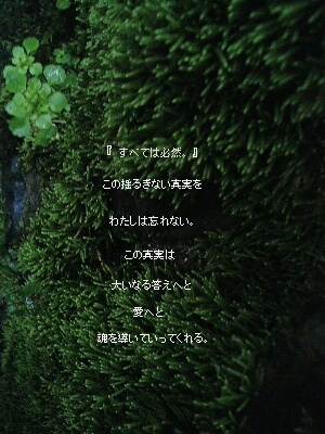 241b.ren.jpg
