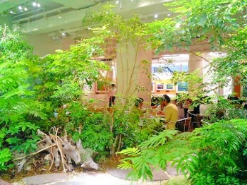403b.ren.jpg