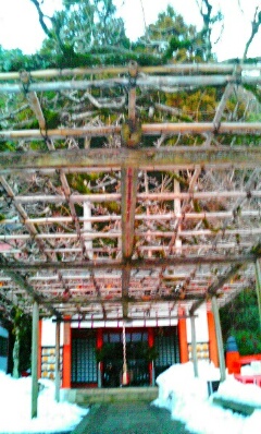 82b.jpg