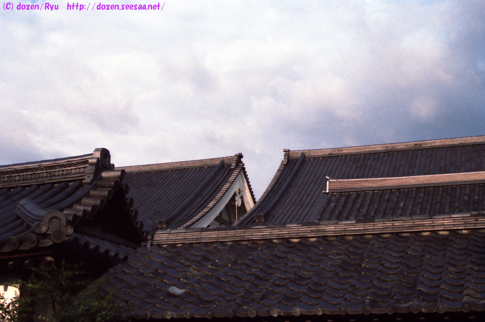 大覚寺.jpg