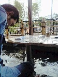 arasiyama.asiyu2-dozen.ren.jpg
